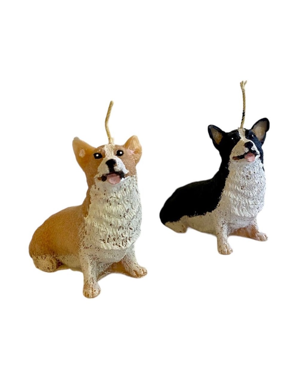 Corgi
