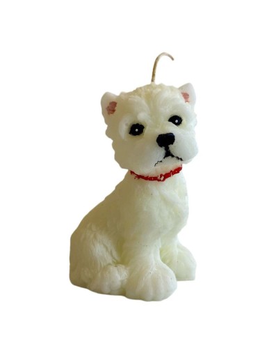 West highland white terrier