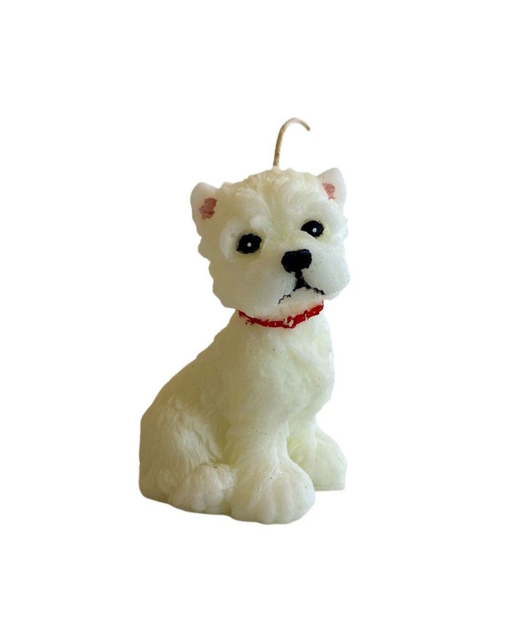 West highland white terrier