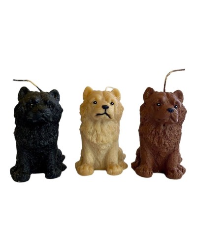 Chow chow