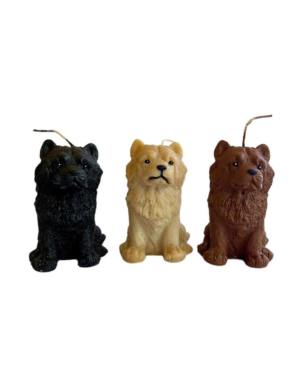 Chow chow