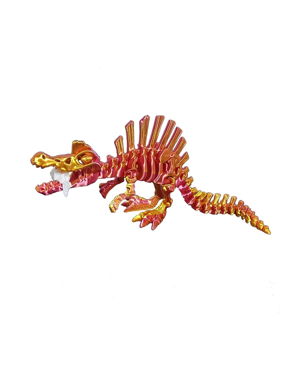 Spinosaurus Skeleton Bicolor