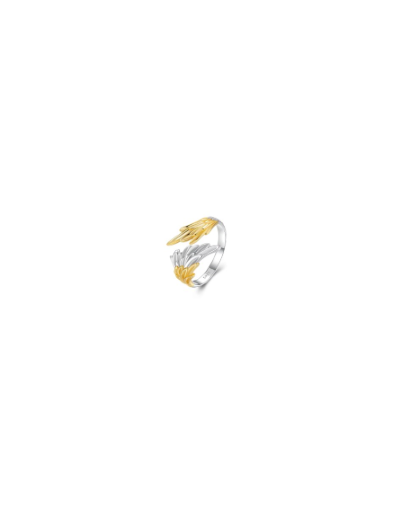 Anillo Alado