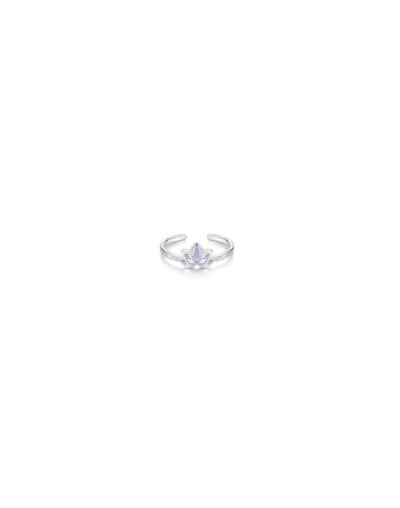 Anillo sofisticado 2