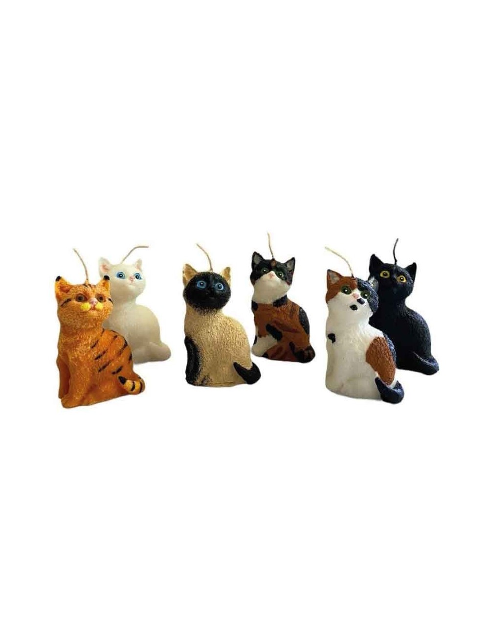Gatos