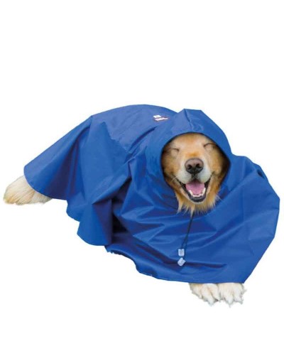 Impermeable para perro-azul rey