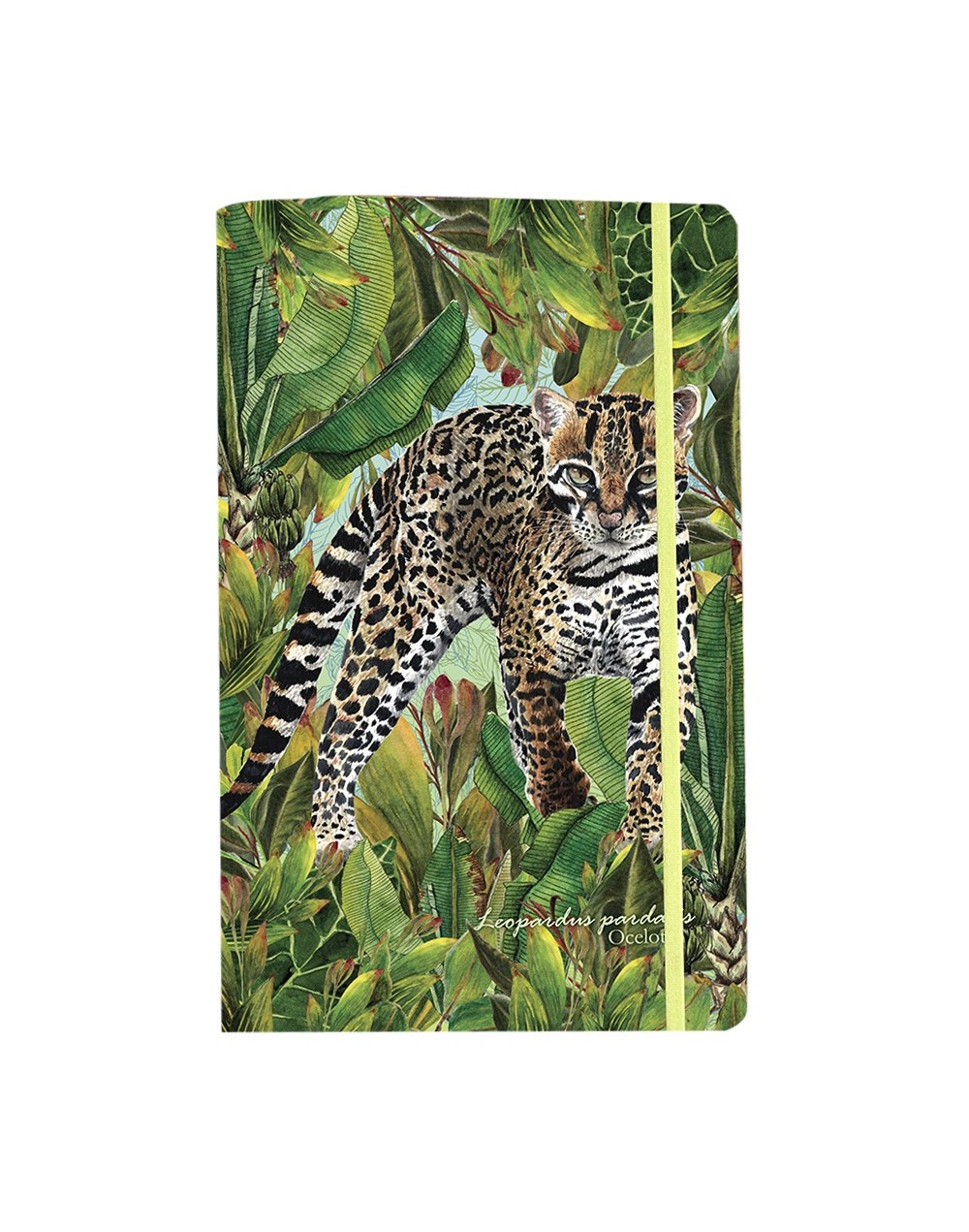 Libreta grande Ocelote