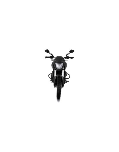 Dominar 250
