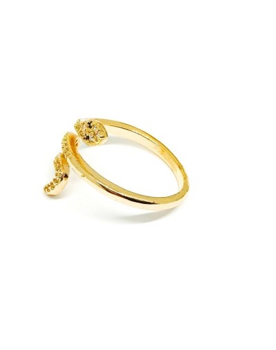 Anillo Serpiente