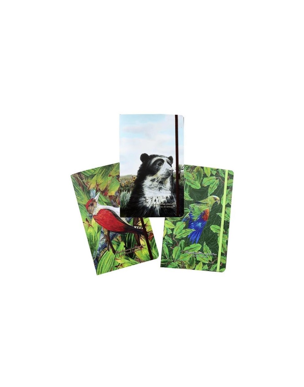 Cuadernos ilustrados fauna de colombia