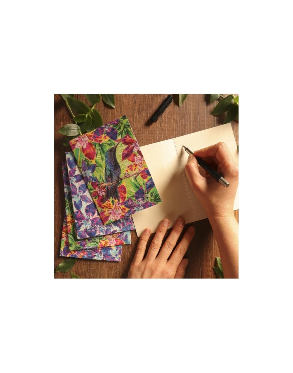 Tarjetas con sobre de Fauna Colombiana