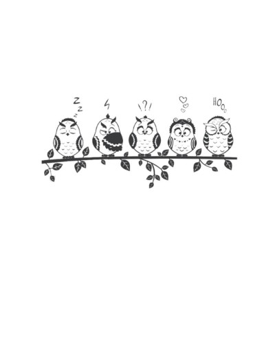 Animales 001 Búhos graciosos