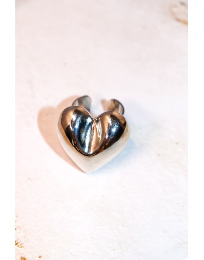 Anillos