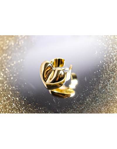 Anillos