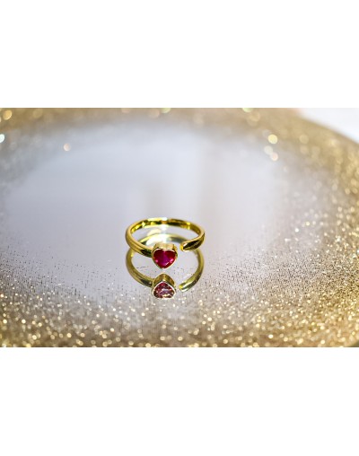 Anillos