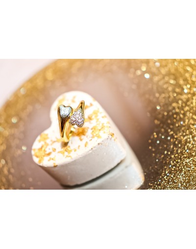 Anillos
