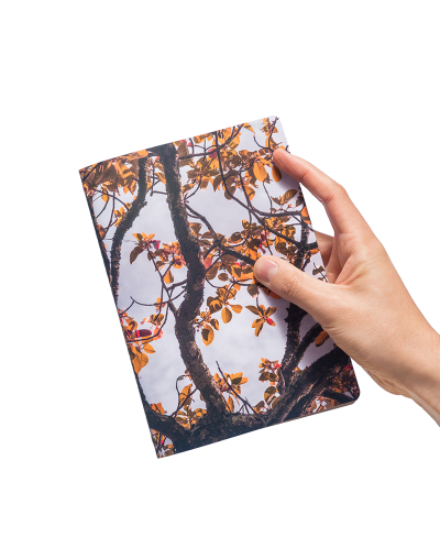 Libreta Aguacate