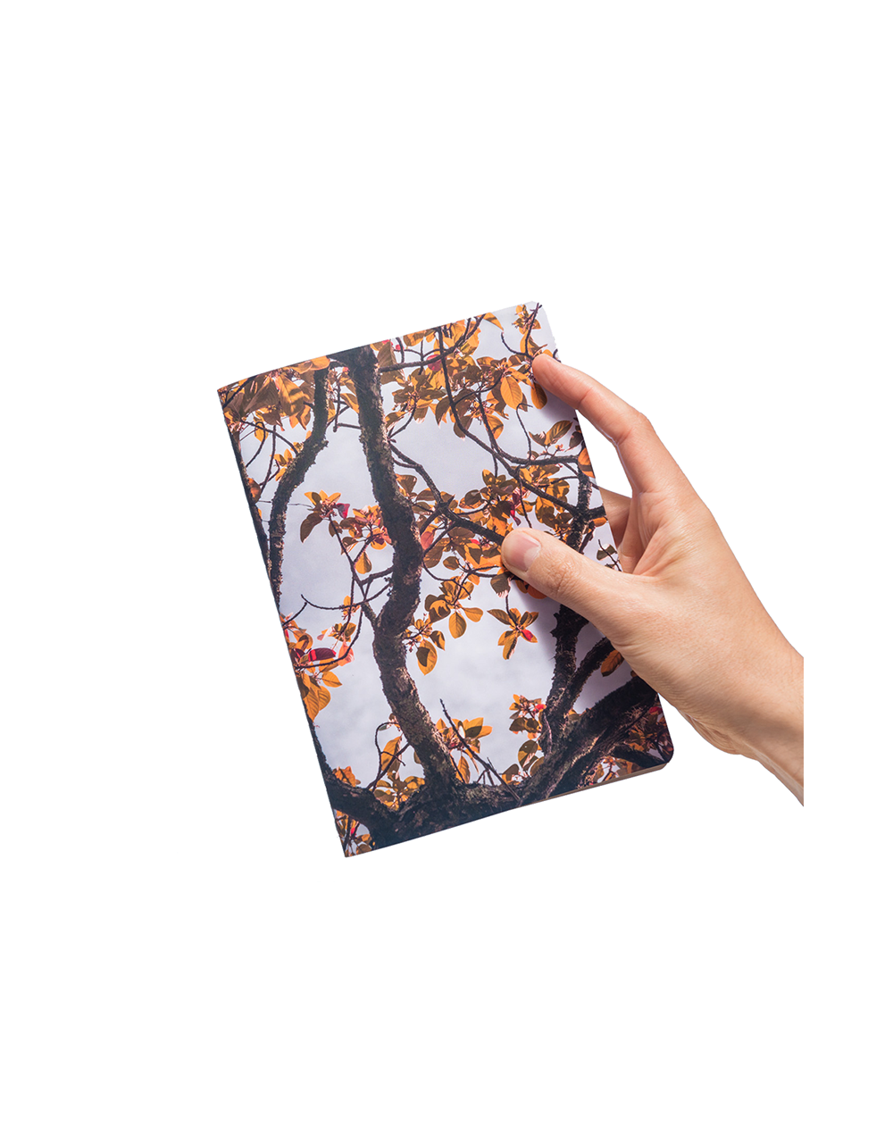Libreta Aguacate