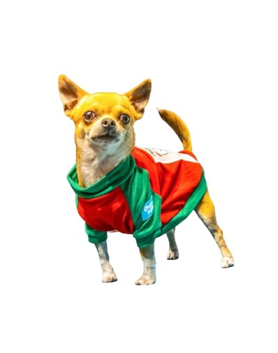 camisas-de-navidad-para-perros-Dog Family