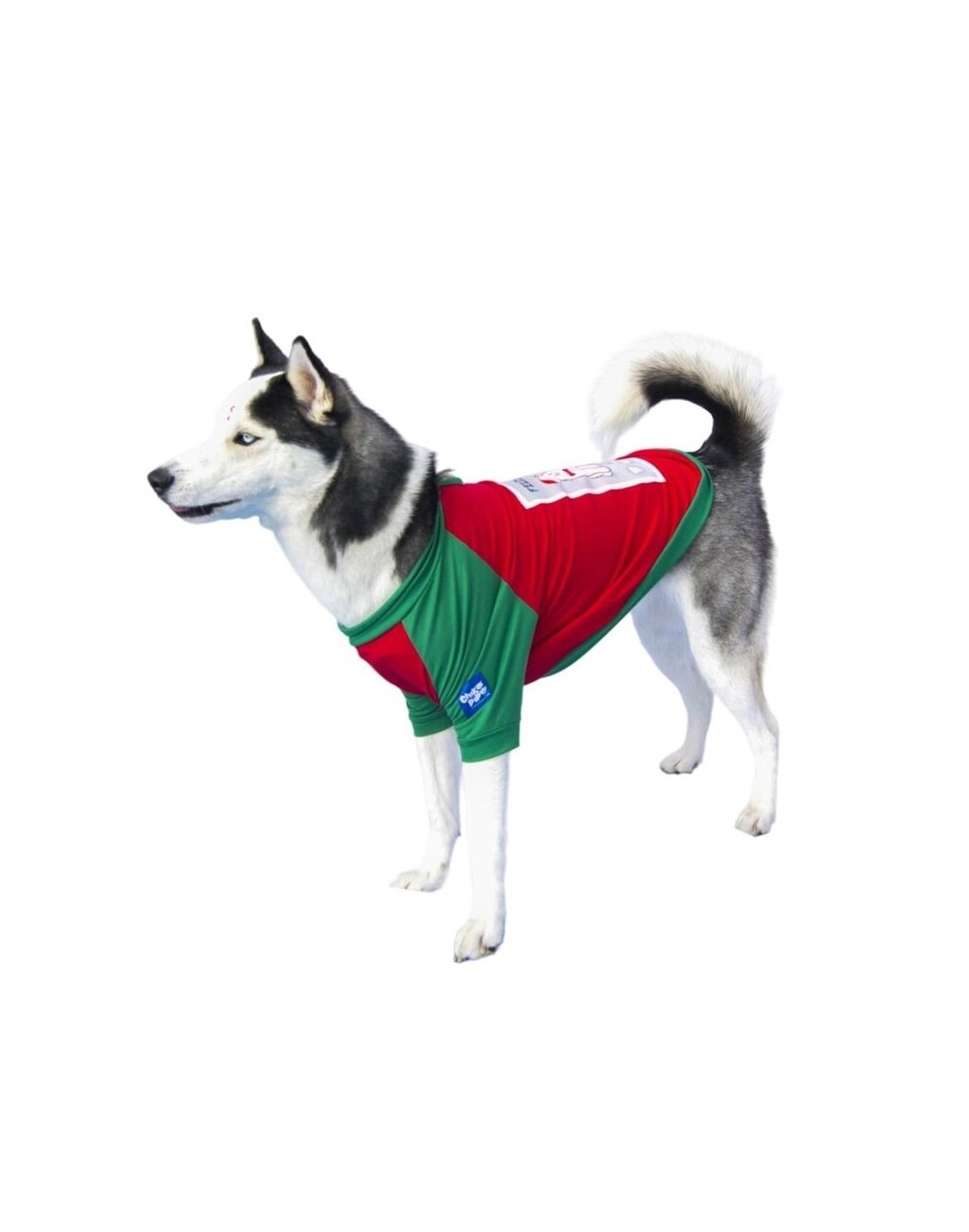 camisas-de-navidad-para-perros-Dog Family