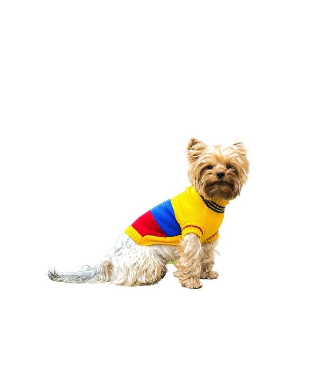 Suéter de colombia para perros