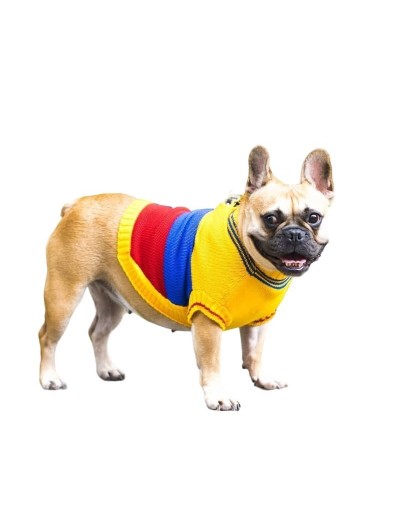 Suéter de colombia para perros