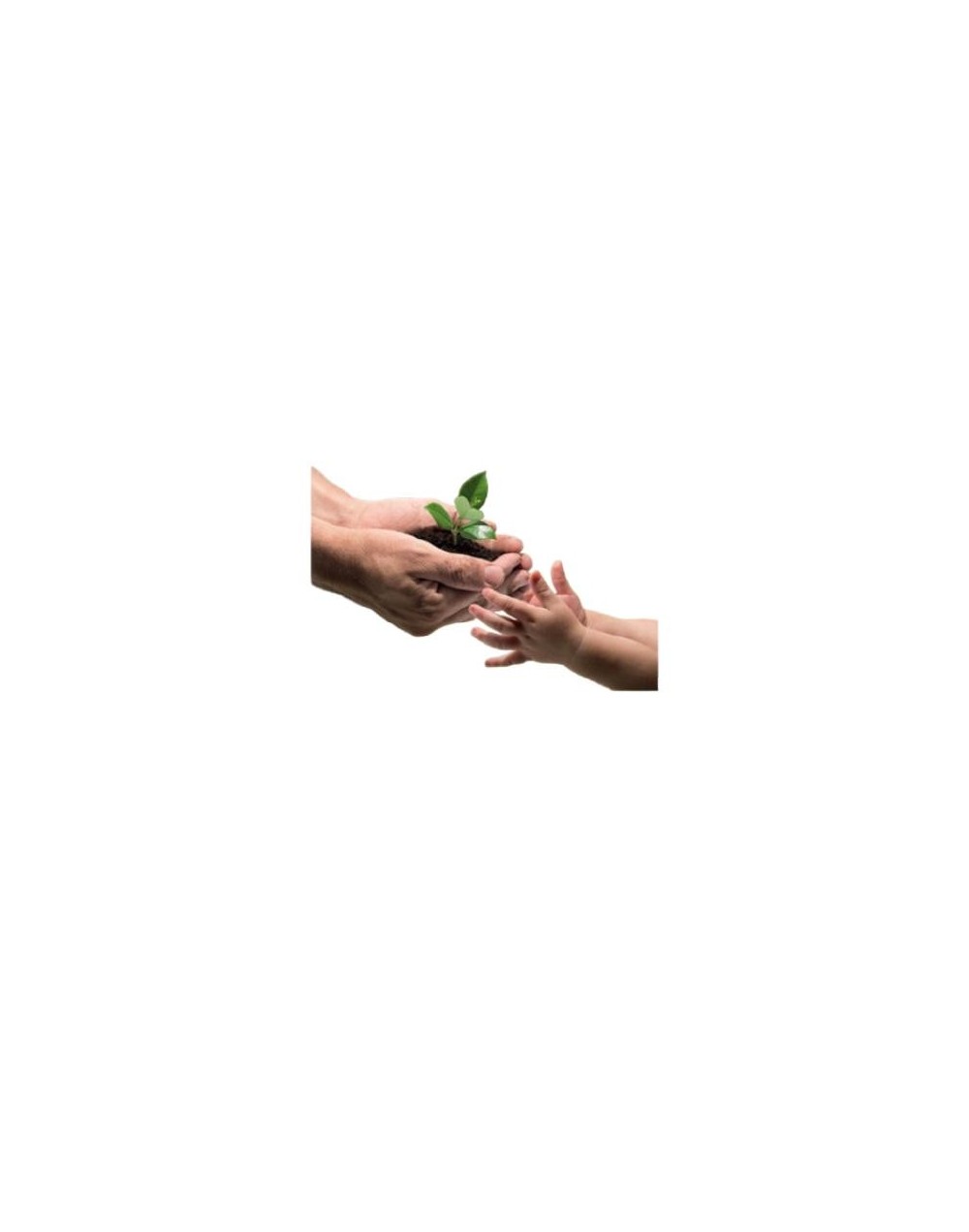 Encíclica Laudato si´