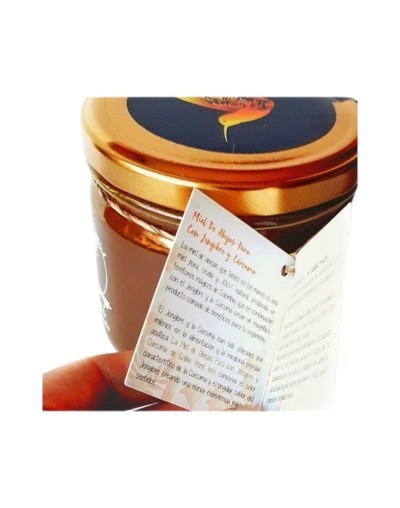 Miel con jengibre y cúrcuma frco 500g