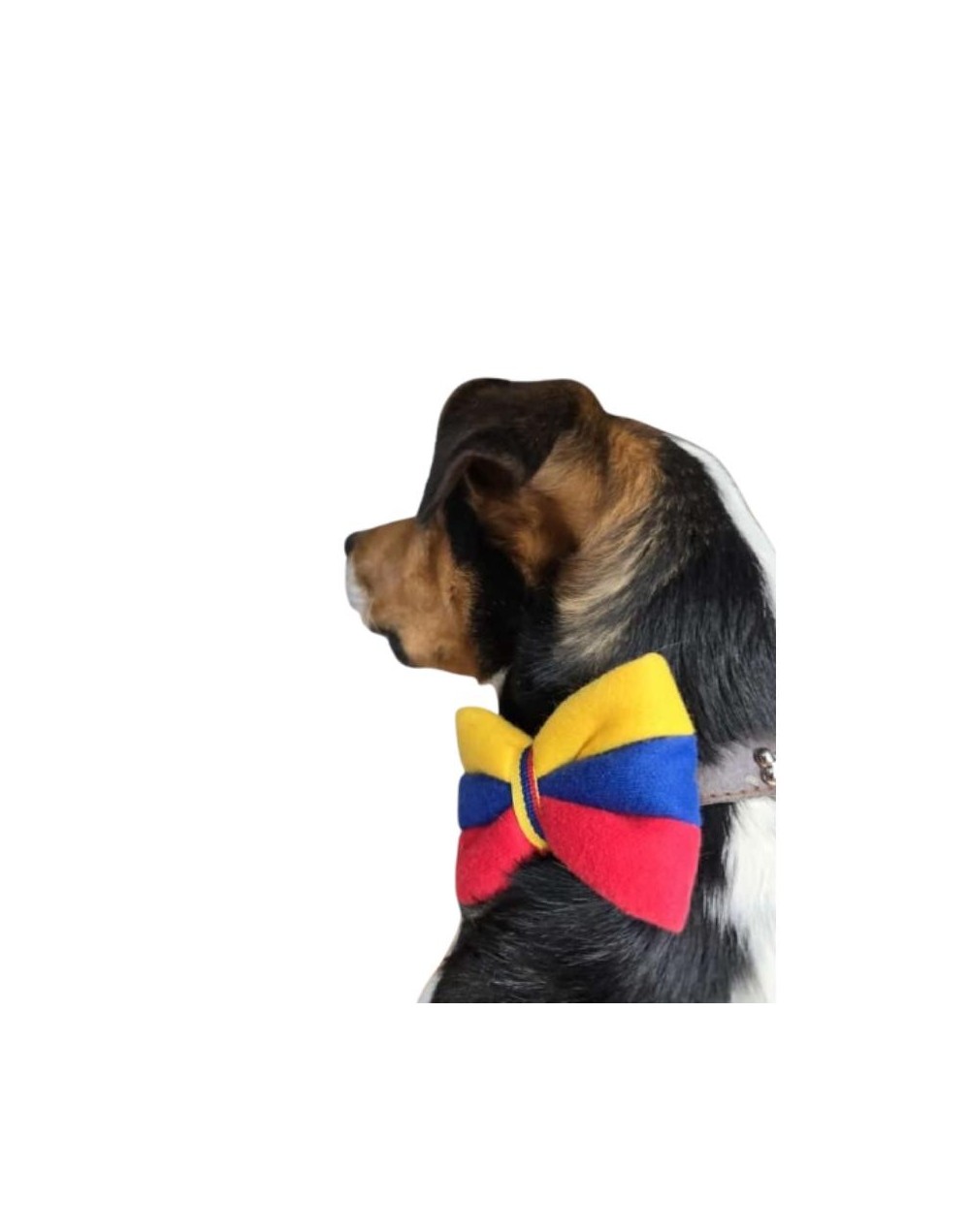 Tennis ref.0540