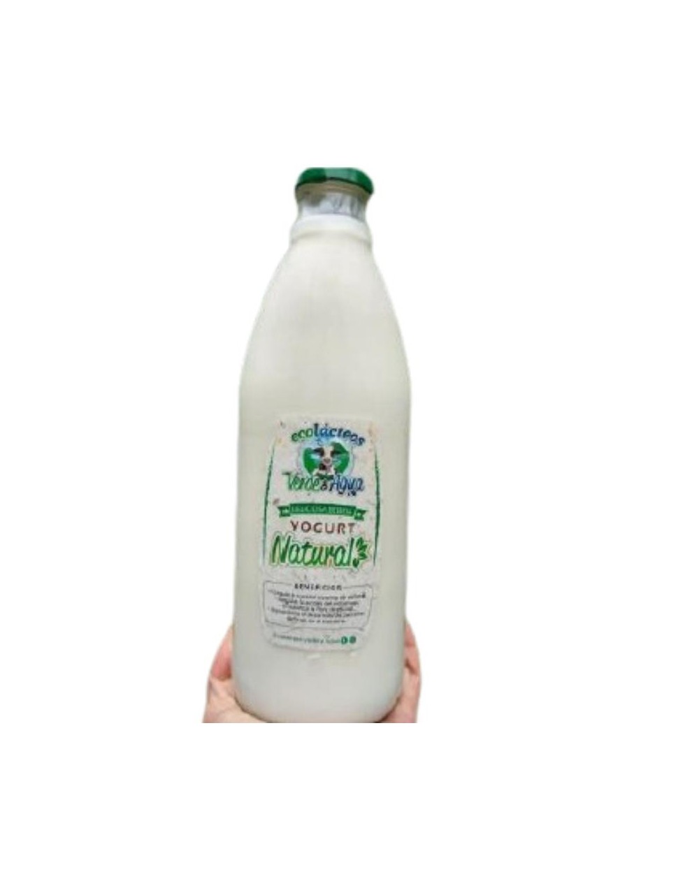Yogurt Natural