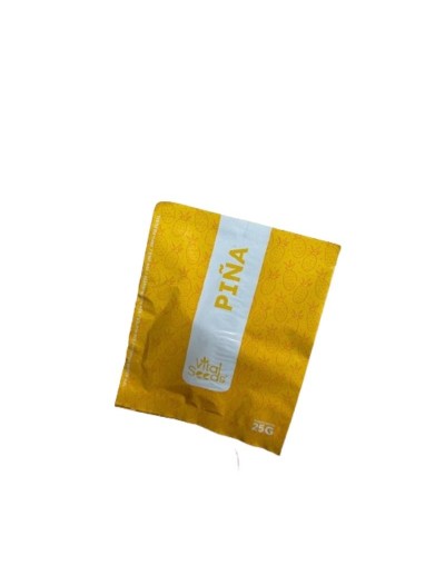 Piña Deshidratada x25GR