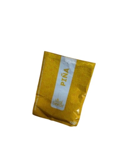 Piña Deshidratada x100GR