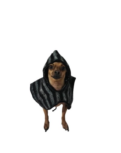 Ruana para mascotas con capota Oveja negra 