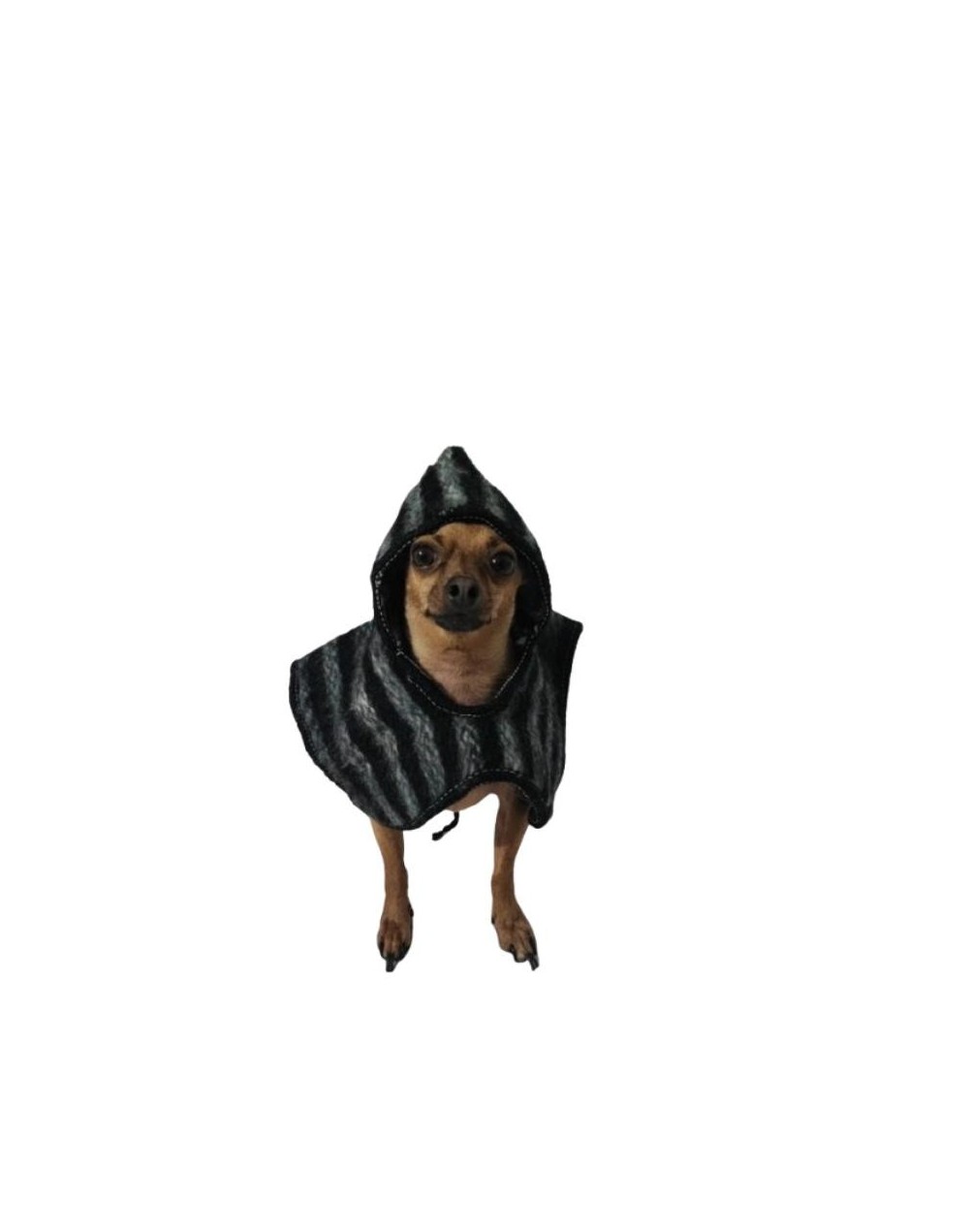 Ruana para mascotas con capota Oveja negra 