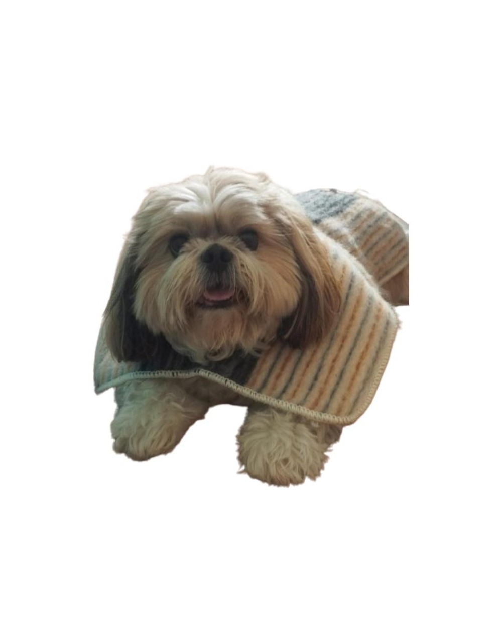Ruana para mascotas sin capota GONITÍCA
