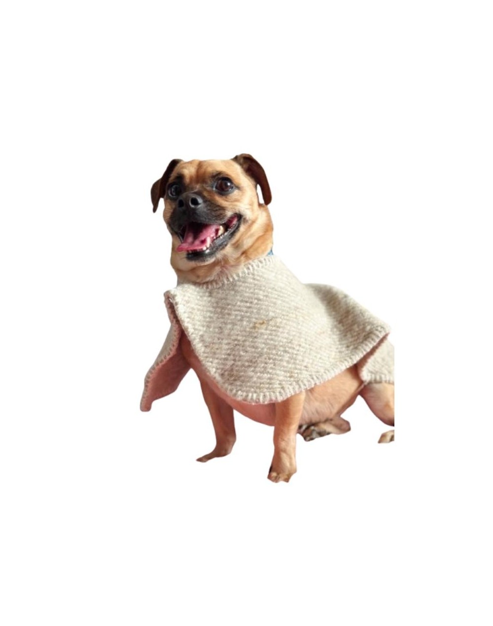 Ruana para mascotas Sopita dulce