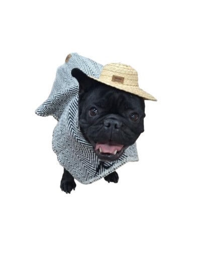 SOMBRERO PARA MASCOTAS 