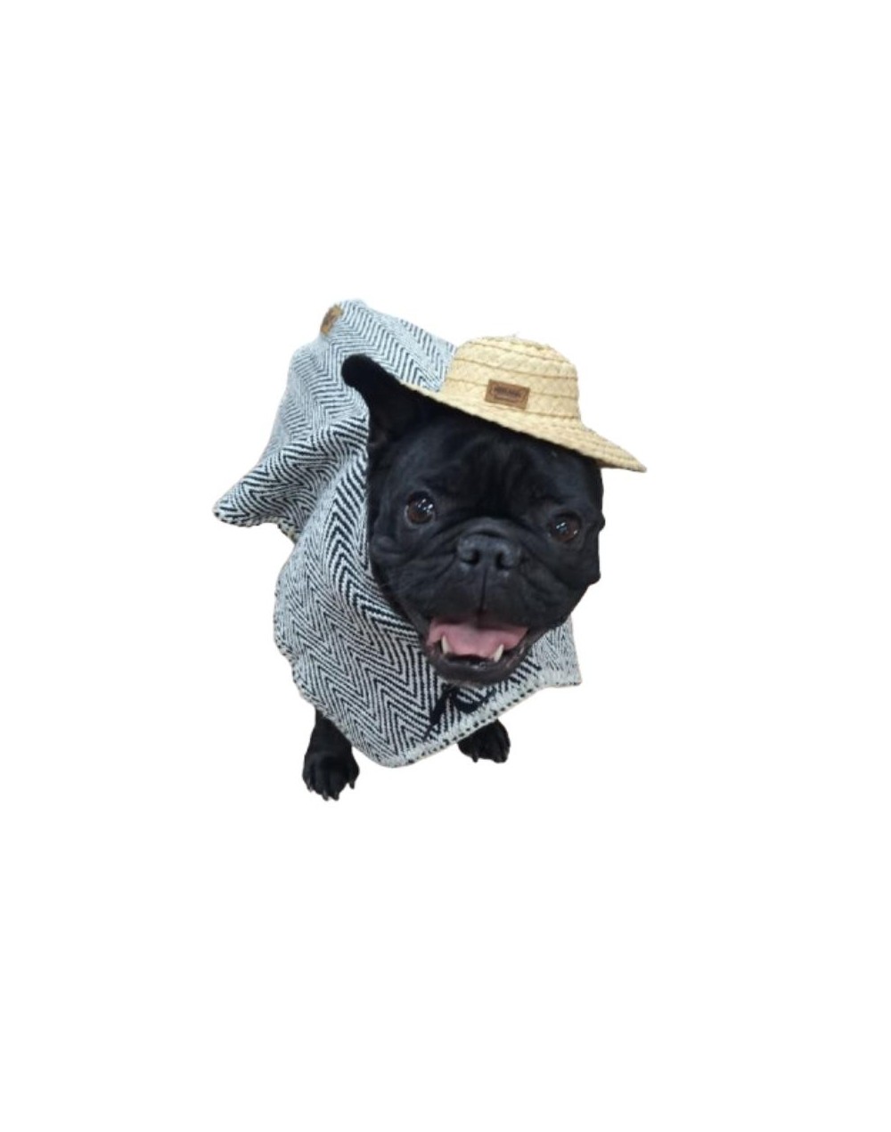 SOMBRERO PARA MASCOTAS 