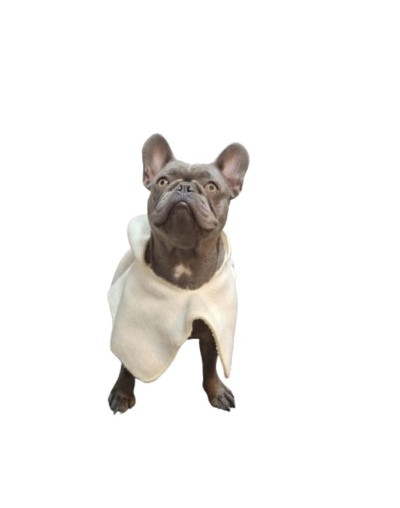RUANA PARA MASCOTA ESTRATO 8 