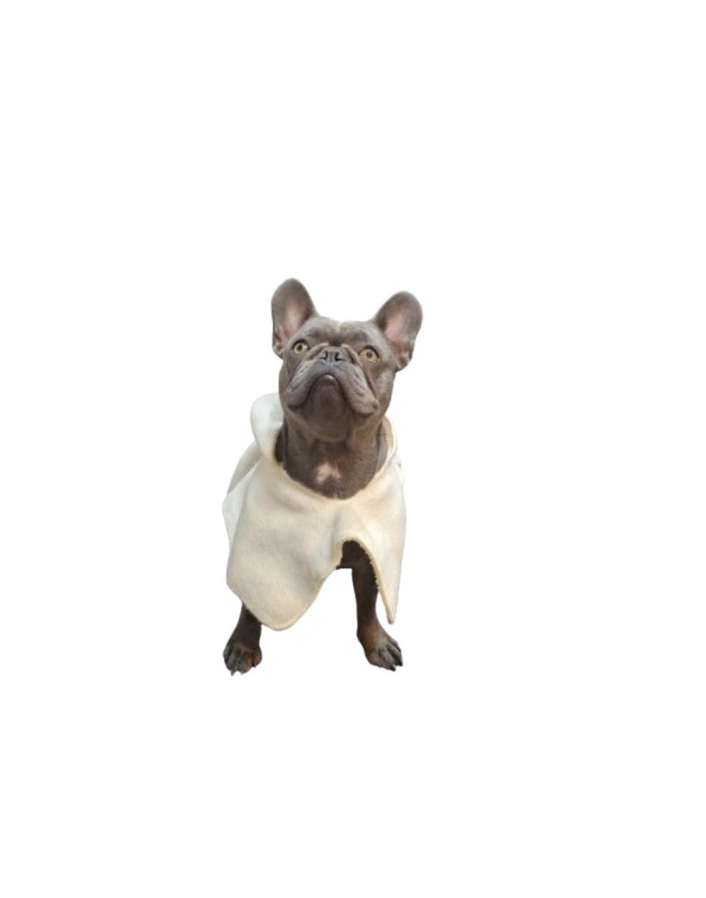 RUANA PARA MASCOTA ESTRATO 8 