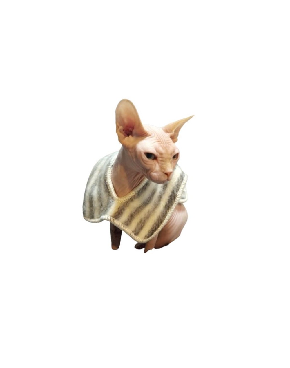 Ruana para mascotas Bella y bonita