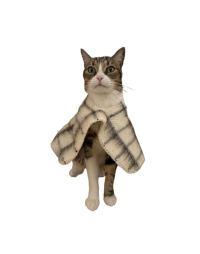 Ruana para mascotas diseño Berriondita