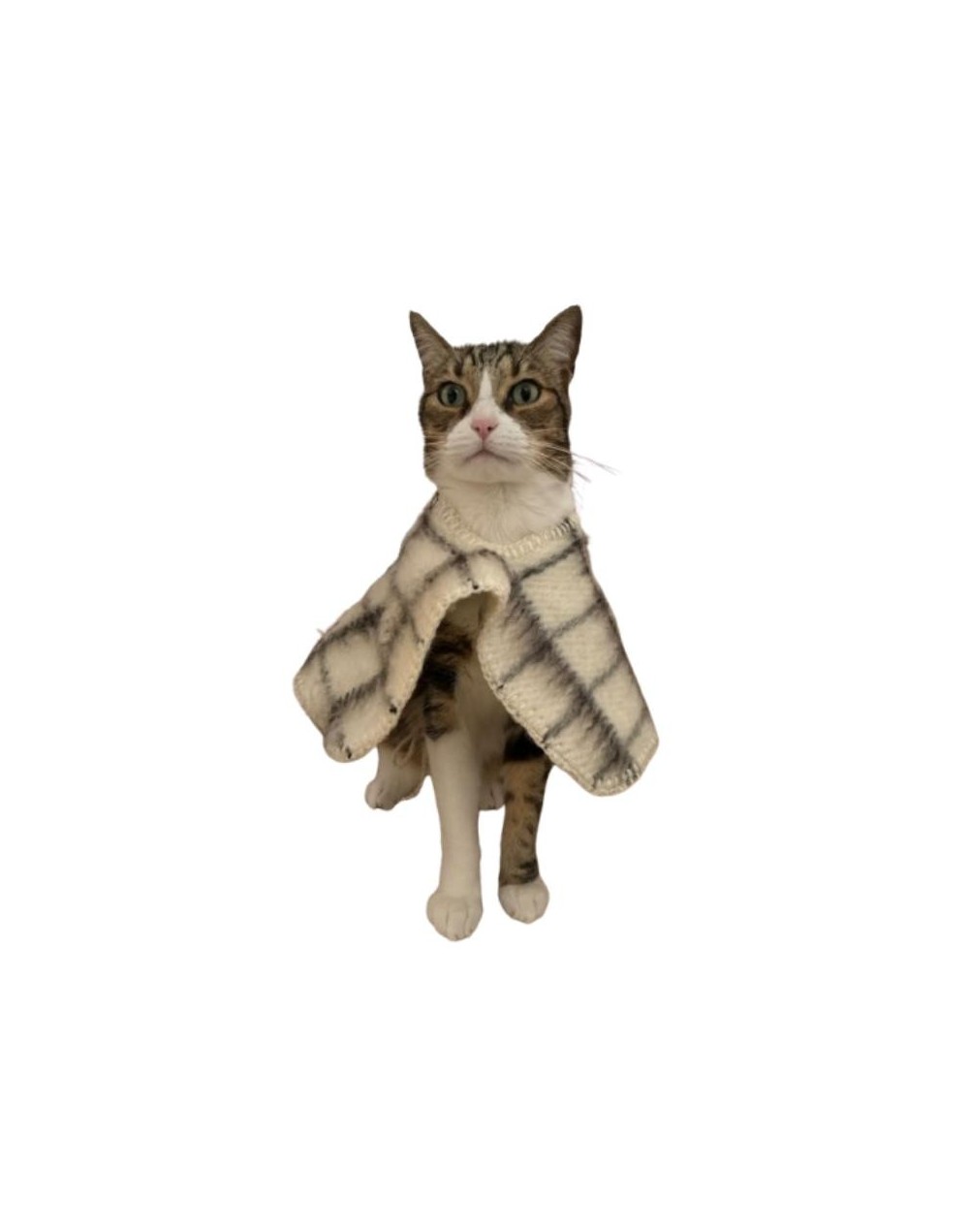 Ruana para mascotas diseño Berriondita