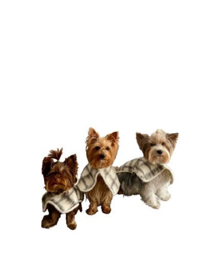 Ruana para mascotas diseño Berriondita