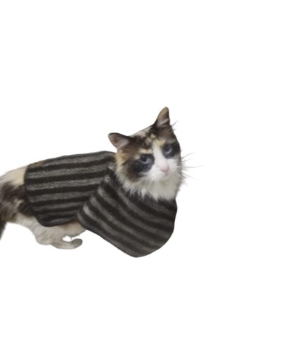 Ruana para mascotas Embejucada