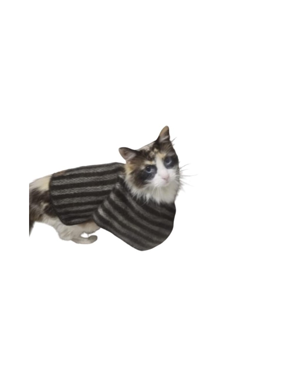 Ruana para mascotas Embejucada