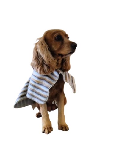 Ruana para mascotas Pirinola