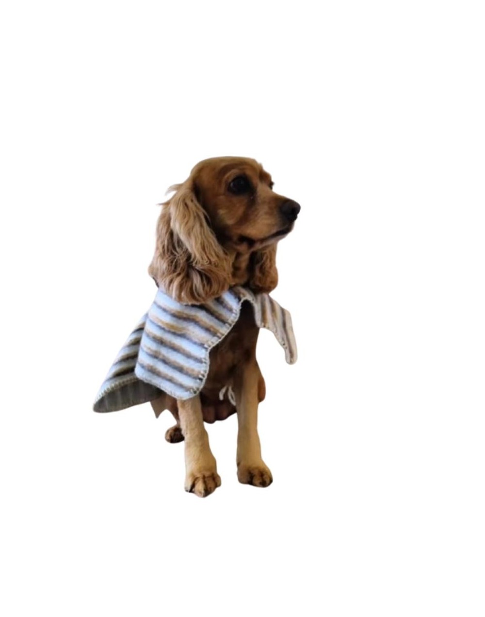 Ruana para mascotas Pirinola