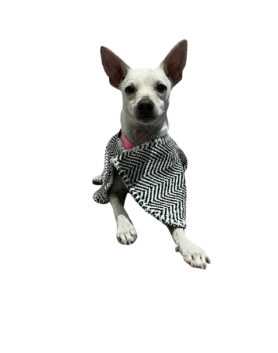 Ruana para mascotas Julia Julia 