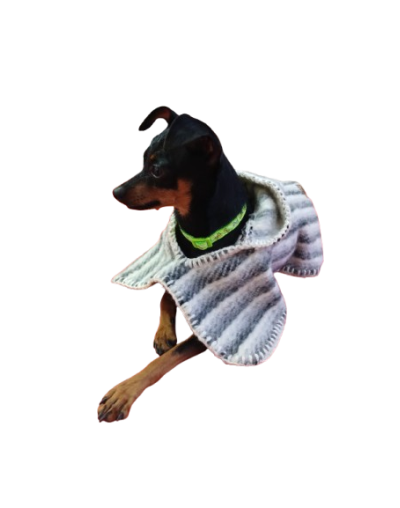 Ruana para mascotas Carranguera